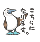 クセつよ！アオアシのおっちゃん（個別スタンプ：37）