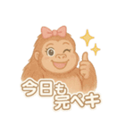 美意識高いゴリ美ちゃんスタンプ（個別スタンプ：19）