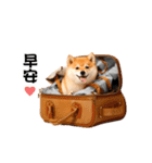 動く！リアル豆柴の日常（繁体字）（個別スタンプ：7）