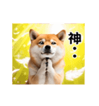 動く！リアル豆柴の日常（繁体字）（個別スタンプ：21）