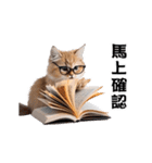 動く！リアル猫の日常（繁体字）（個別スタンプ：18）