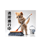 動く！リアル猫の日常（繁体字）（個別スタンプ：22）