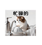 動く！リアル猫の日常（繁体字）（個別スタンプ：23）