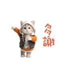 踊る！ダンス猫（繁体字）（個別スタンプ：3）