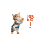 踊る！ダンス猫（繁体字）（個別スタンプ：5）