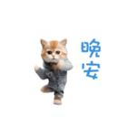 踊る！ダンス猫（繁体字）（個別スタンプ：8）
