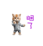 踊る！ダンス猫（繁体字）（個別スタンプ：10）