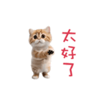 踊る！ダンス猫（繁体字）（個別スタンプ：12）
