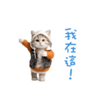 踊る！ダンス猫（繁体字）（個別スタンプ：13）
