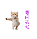 踊る！ダンス猫（繁体字）（個別スタンプ：18）