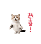 踊る！ダンス猫（繁体字）（個別スタンプ：22）