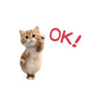踊る！ダンス猫2（繁体字）（個別スタンプ：7）