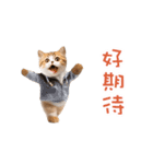踊る！ダンス猫2（繁体字）（個別スタンプ：18）