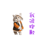 踊る！ダンス猫2（繁体字）（個別スタンプ：23）