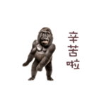 踊る！ダンスゴリラ（繁体字）（個別スタンプ：1）