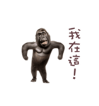 踊る！ダンスゴリラ（繁体字）（個別スタンプ：4）