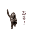 踊る！ダンスゴリラ（繁体字）（個別スタンプ：5）