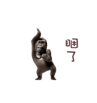 踊る！ダンスゴリラ（繁体字）（個別スタンプ：7）