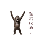踊る！ダンスゴリラ（繁体字）（個別スタンプ：17）
