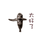 踊る！ダンスゴリラ（繁体字）（個別スタンプ：23）
