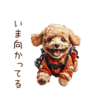 お仕事トイプードル①消防士編（個別スタンプ：30）