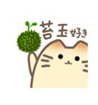 テンション高めの苔玉好き猫たち（個別スタンプ：13）