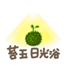 テンション高めの苔玉好き猫たち（個別スタンプ：25）