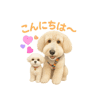 OKOGEとTOFUのよく使う言葉すたんぷ（個別スタンプ：2）
