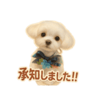 OKOGEとTOFUのよく使う言葉すたんぷ（個別スタンプ：4）
