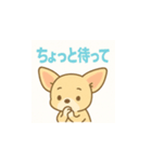ゆるふわチワワの気持ちvol.2（個別スタンプ：9）