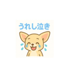 ゆるふわチワワの気持ちvol.2（個別スタンプ：12）