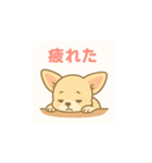 ゆるふわチワワの気持ちvol.2（個別スタンプ：13）