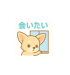 ゆるふわチワワの気持ちvol.2（個別スタンプ：14）