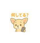 ゆるふわチワワの気持ちvol.2（個別スタンプ：16）