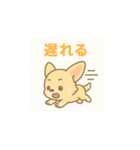 ゆるふわチワワの気持ちvol.2（個別スタンプ：17）