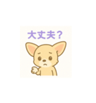 ゆるふわチワワの気持ちvol.2（個別スタンプ：19）