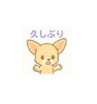 ゆるふわチワワの気持ちvol.2（個別スタンプ：21）