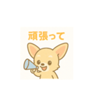 ゆるふわチワワの気持ちvol.2（個別スタンプ：23）