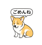 コーギーしっぽなし(レッド＆ホワイト)（個別スタンプ：6）