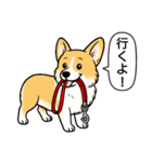 コーギーしっぽなし(レッド＆ホワイト)（個別スタンプ：7）