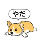 コーギーしっぽなし(レッド＆ホワイト)（個別スタンプ：14）
