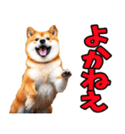 鹿児島弁☆柴犬（個別スタンプ：2）