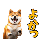 鹿児島弁☆柴犬（個別スタンプ：18）