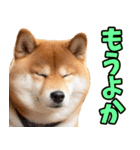 鹿児島弁☆柴犬（個別スタンプ：27）