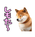 鹿児島弁☆柴犬（個別スタンプ：32）