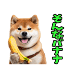 鹿児島弁☆柴犬（個別スタンプ：37）
