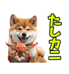 鹿児島弁☆柴犬（個別スタンプ：39）