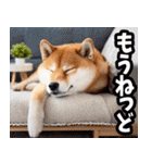 鹿児島弁☆柴犬（個別スタンプ：40）