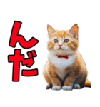 宮城仙台☆にゃんこ（個別スタンプ：1）