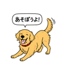 ゴールデンレトリバー (ゴールド)（個別スタンプ：2）